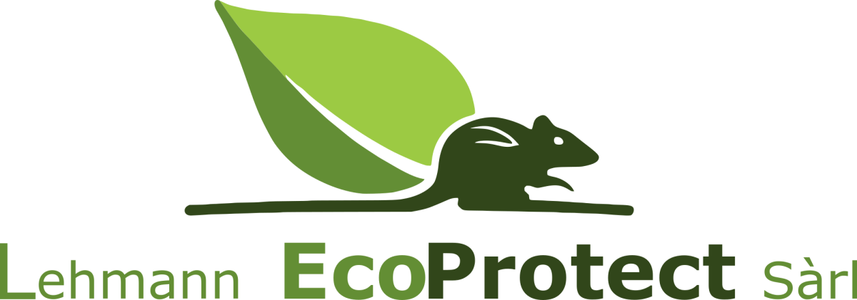 Lehmann EcoProtect Sàrl